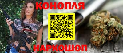сатива Малгобек