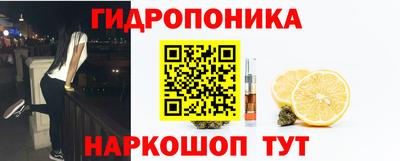 сатива Малгобек
