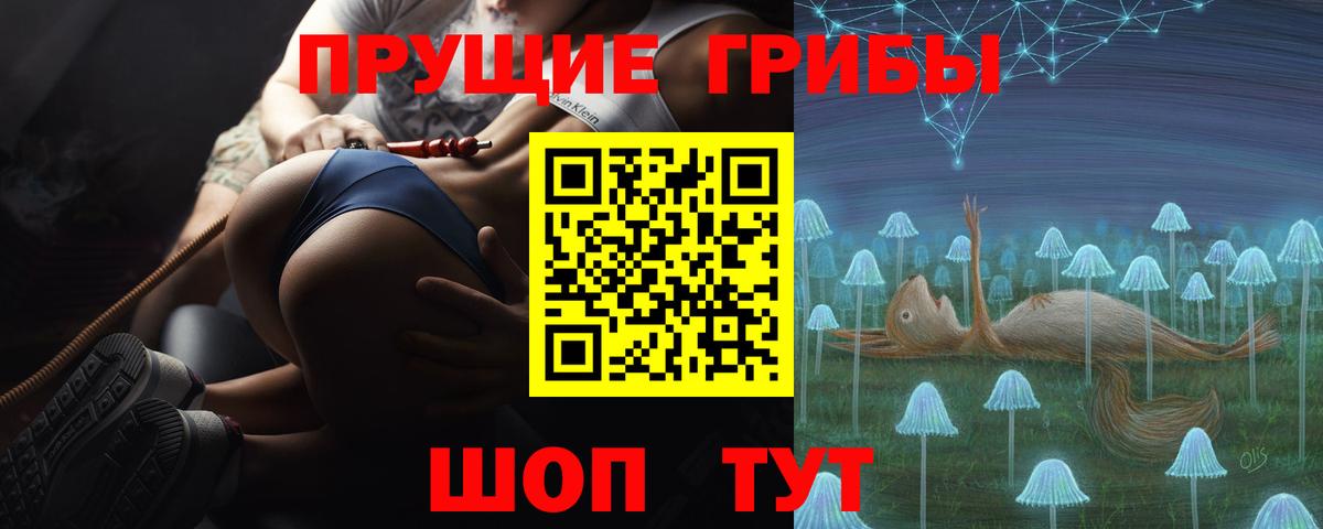 Псилоцибиновые грибы GOLDEN TEACHER Зеленокумск